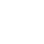 svg icon